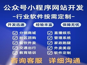 石河子网站开发